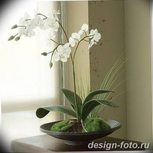 фото Орхидеи в интерьере 28.11.2018 №111 - photo Orchids in the interior - design-foto.ru
