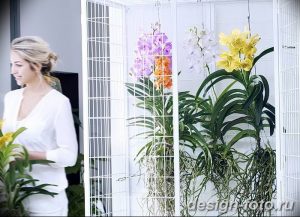 фото Орхидеи в интерьере 28.11.2018 №116 - photo Orchids in the interior - design-foto.ru