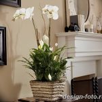 фото Орхидеи в интерьере 28.11.2018 №118 - photo Orchids in the interior - design-foto.ru