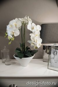 фото Орхидеи в интерьере 28.11.2018 №119 - photo Orchids in the interior - design-foto.ru