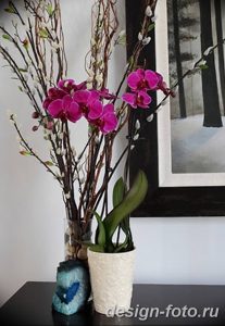 фото Орхидеи в интерьере 28.11.2018 №120 - photo Orchids in the interior - design-foto.ru