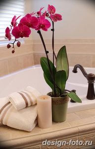 фото Орхидеи в интерьере 28.11.2018 №128 - photo Orchids in the interior - design-foto.ru