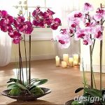 фото Орхидеи в интерьере 28.11.2018 №133 - photo Orchids in the interior - design-foto.ru
