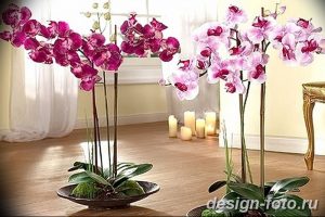 фото Орхидеи в интерьере 28.11.2018 №133 - photo Orchids in the interior - design-foto.ru