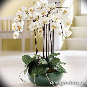 фото Орхидеи в интерьере 28.11.2018 №137 - photo Orchids in the interior - design-foto.ru