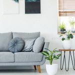 Plants next to grey couch in bright apartment interior with blac