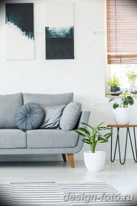 Plants next to grey couch in bright apartment interior with blac