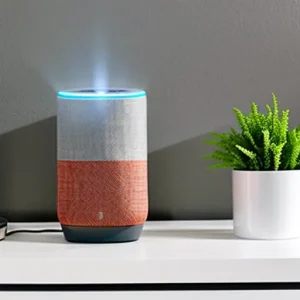 How to incorporate voice controlled assistants like Alexa or Google Ho S974207074 St35 G12 tatufoto.com 012