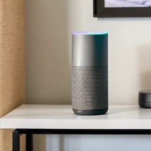 How to incorporate voice controlled assistants like Alexa or Google Ho S974207075 St35 G12 tatufoto.com 013