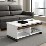 modern_extendable_coffee_table_with_storage_compar_KI9D8271